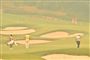I denne uge afholdes golfturneringen Australian Open i Sydney, mens den sundhedsskadelige røg har fået myndighederne til at opfordre lokalbefolkningen til at begrænse udendørsaktiviteter. Ved turneringen har golfspillere klaget over sviende øjne på grund af røgen, som også har gjort det svært at se, hvor golfbolden lander.