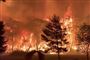 Brandvæsenet i New South Wales kæmper med at slukke i alt 125 aktive brande. Denne uge ser en voldsom temperaturstigning ud til at forværre situationen yderligere.