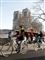 Notre Dame er stadig i fare