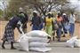 Folk i Zimbabwe henter her mad fra FN's World Food Programme i byen Mutawatawa. Omkring halvdelen af landets befolkning har akut mangel på mad.
