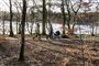 SILKEBORG: Piletræer, kaprifolier og hestehov er blandt de træer og planter, der begynder at springe ud før tid.