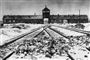 Polens regering er ikke repræsenteret, når mange af verdens ledere torsdag samles torsdag i Jerusalem for at markere 75-årsdagen for befrielsen af Auschwitz. Årsdagen  markeres på et tidspunkt, hvor der er tegn på tiltagende antisemitisme i Europa og USA.