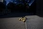 Regeringen vil give et højere tilskud til kommunerne ved tunge børnesager og anbringelser af flere søskende. Men regningen skal betales af kommunerne selv ved "et tilsvarende mindre bloktilskud". (Arkivfoto).