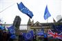 Brexitmodstandere protesterer uden for det britiske parlament torsdag 30. januar, dagen inden briterne forlader EU.