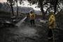 Brandmænd sprøjter med vand på det, der er tilbage af en skovbrand Bumbalong i den australske delstat  New South Wales 2. februar.