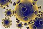 Coronavirus kendt som Covid-19 har bredt sig fra den kinesiske storby Wuhan til resten af verden. Italien er et af de lande, der er særligt hårdt ramt.