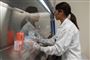 Rundt om i verden arbejder forskere på at udvikle både behandlinger og vacciner, der kan beskytte mod coronavirussets spredning. Her er det lægen Sonia Macieiewski på Novavax' laboratorie i Maryland, USA.