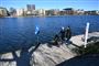 Gåsegang: København laver ensretning rundt om Søerne