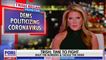 Fox fyrer "dansker-haderen" Trish Regan