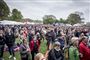 Arbejdernes internationale kampdag markeres som regel i Fælledparken i København. I år må de fejre det med en liveudsendelse på Facebook. (Arkivfoto)