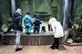 To ministre advarer mod at åbne zoologiske haver