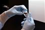Lægemidlet Remdesivir fra medicinalselskabet Gilead har vist positive resultater i forsøg, hvor patienter slap hurtigere fri af corona efter behandling med midlet end forsøgpersoner, der blev behandlet med placebo - snydemedicin. Forskellen var henholdsvis 11 dage og 15 dage. (Arkivfoto)