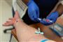 Mange flere bliver nu testet for coronavirus i Danmark. (Arkivfoto)