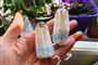 Spøjst trick: Tampon kan redde din potteplantes liv
