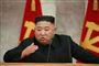 Nordkoreas opfordring til sultende befolkning: Spis skildpadder