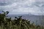 Billede af Øresundsbron