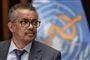 Billede af formanden for WHO edros Adhanom Ghebreyesus