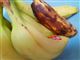 bananer