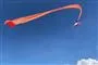 En lille pige hænger i en lang orange drage cirka 30 meter over jorden