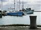 Skibe i Skovshoved Havn