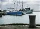 Skibe i Skovshoved Havn
