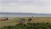 Stranden ved Ebeltoft med flere kitesurfere på stranden og en enkelt i havet.