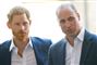 Prins William og prins Harry