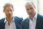 Prins William og prins Harry