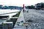 Skrald ligger og flyder på havnefronten ved Islands Brygge i København
