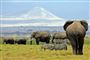 Kilimanjaro