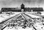 Et billede af jernbaneskinner der fører ind til porten på Auschwitz-lejren