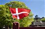 lille dannebrog vejer foran bøgetræer