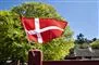 lille dannebrog vejer foran bøgetræer