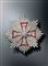 Diamantbesat broche