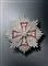 Diamantbesat broche