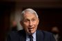 Billede af Anthony Fauci