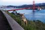Billede af en coyote med Golden Gate broen i baggrunden