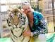 tiger og skægget mand i hawaiiskjorte 