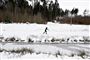 en person står på langrendsski ved en skov. Der ligger godt med sne overalt. 