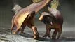To dinosaurer