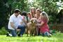 En familie samlet om en Golden retriever