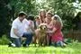 En familie samlet om en Golden retriever