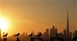 måger sidder med dubais skyline i baggrunden