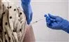 person bliver vaccineret