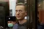 Aleksej Navalnyj i retten