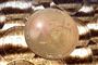 billede af en bitcoin