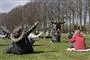 folk laver gymnastik i en park 
