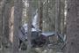 Vrag af helikopter blandt træer