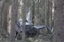 Vrag af helikopter blandt træer