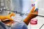 Vaccine suges op i sprøjte